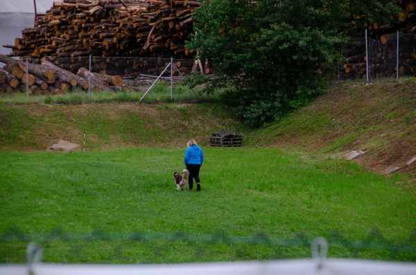 Pomladni tečaji uspešno zaključeni